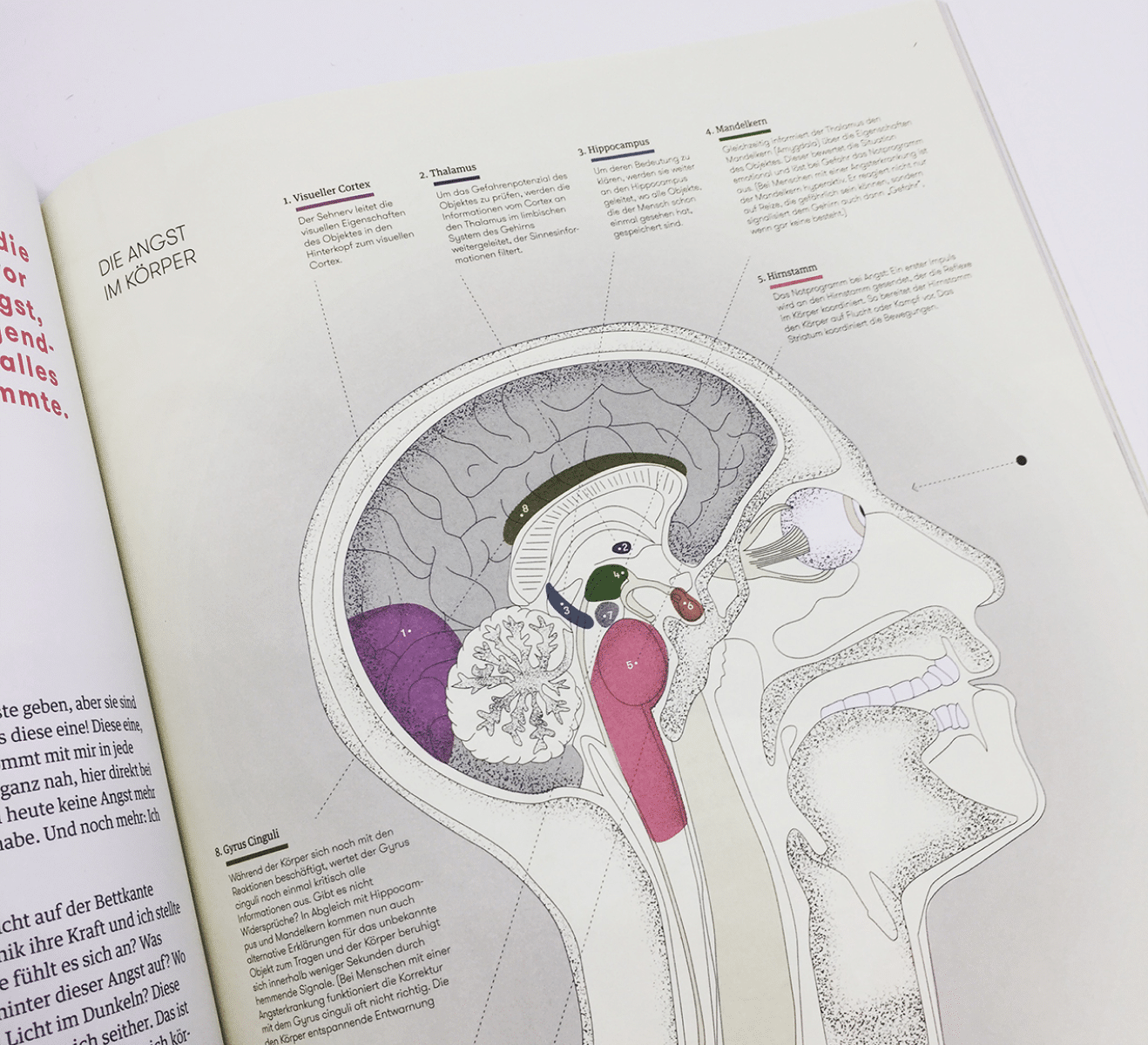 Infografik und Datenvisualisierung über Anatomie